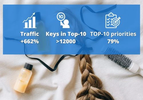 +662% Organic Traffic Growth for Professional Hair