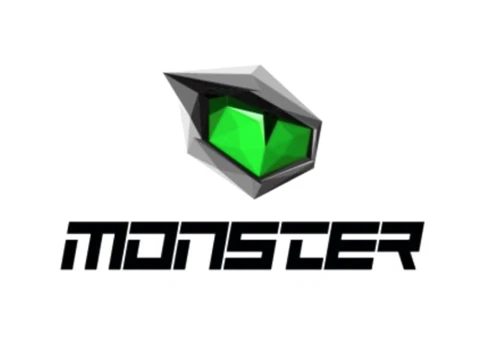 PPC & SEO Services for Gaming Products Brand