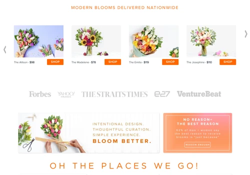 e-Commerce international franchise