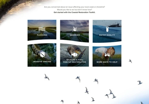 Coastal Restoration Toolkit Web Design Development