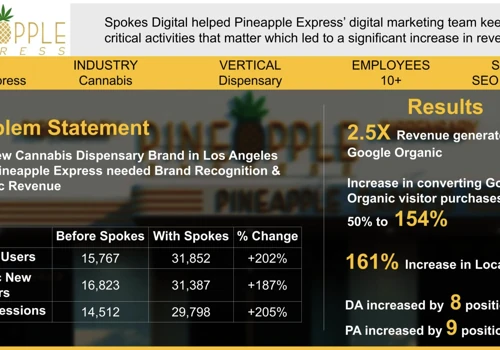 Pineapple Express | Delivery SEO