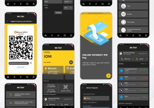 IBP Pay Application