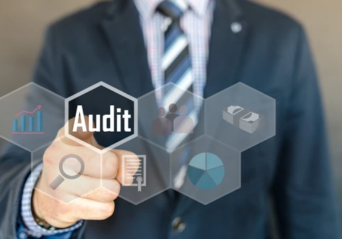 Data Audits