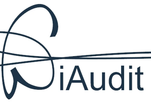 Audit Management System
