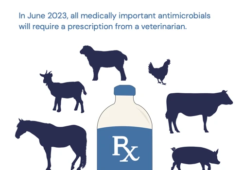 FDA CVM Stewardship & Reaching Underserved Farmers