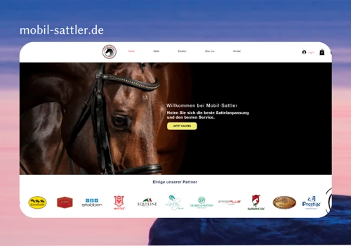 Website Design and Marketing