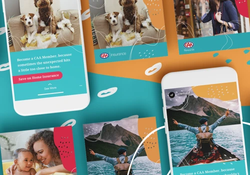 CAA Niagara Campaigns