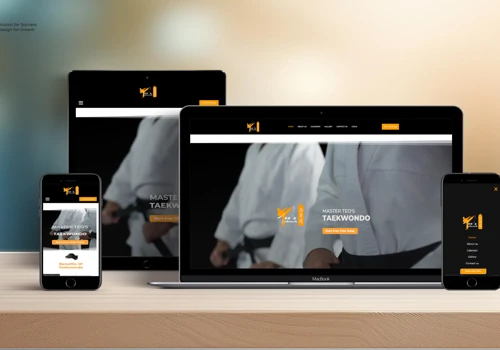 Master Teo's Taekwondo - WordPress
