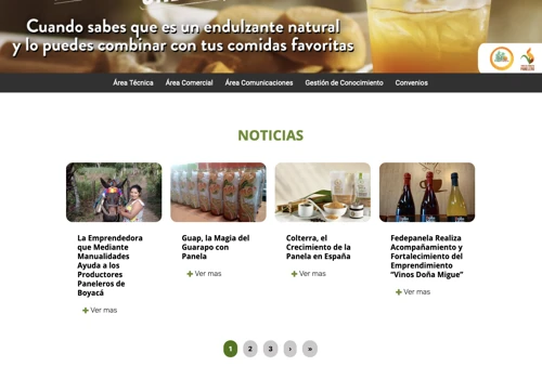 Fedepanela