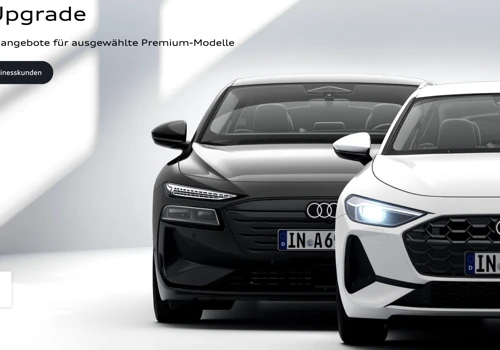 Audi - inventory management software
