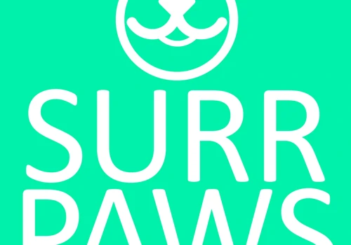 Website Design For Surrpaws Pet Shop