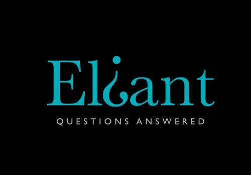 Branding and Visual Identity