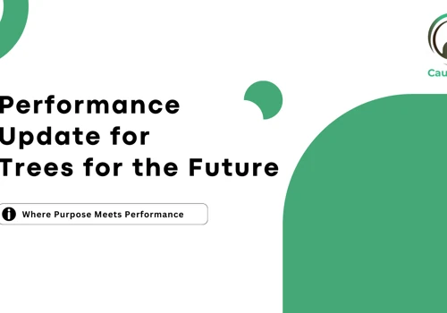 SEO for Trees for the Future