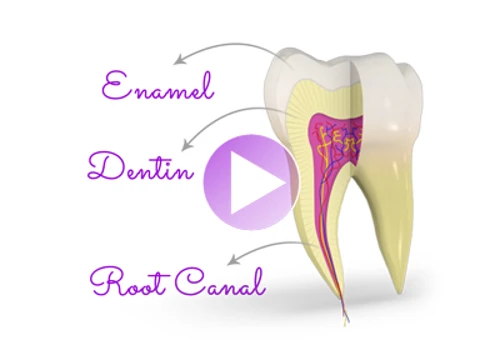 3D Dental Patient Education Videos