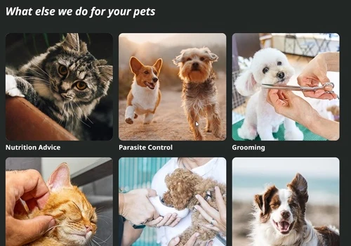 Service Website Demo Project