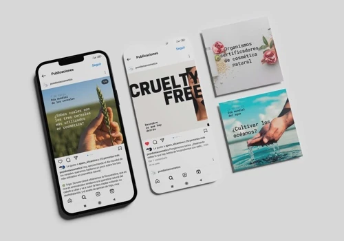 Diseño Web, SEO Y SEM para fabricante de cosmético