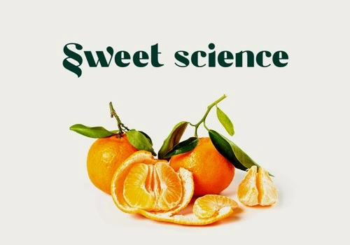 Sweet Science Branding and Website