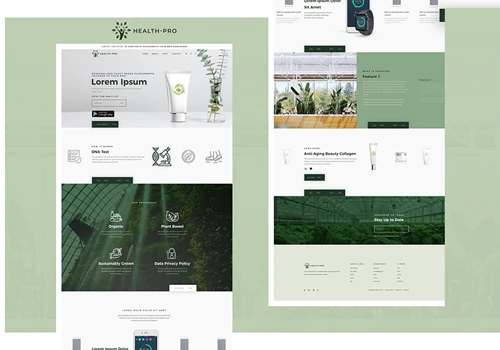 Website design