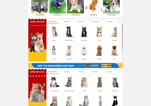 High Conversation Website
