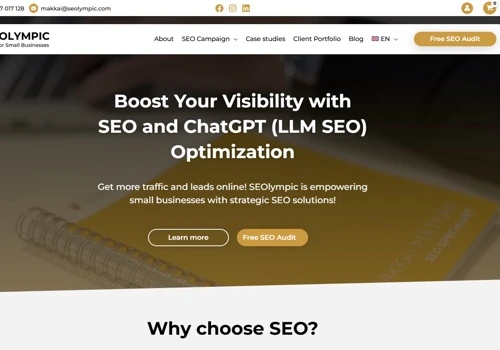 Professional Business Website for a SEO Agency