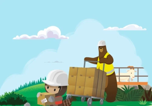 Salesforce For Manufacturing Company