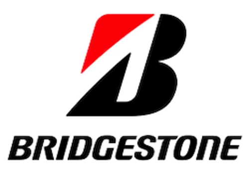 Custom Software Development for Bridgestone