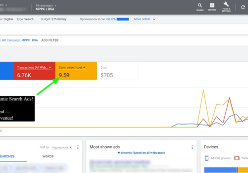 9X Return on Google’s Dynamic Search Ads