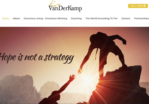 Consulting Website