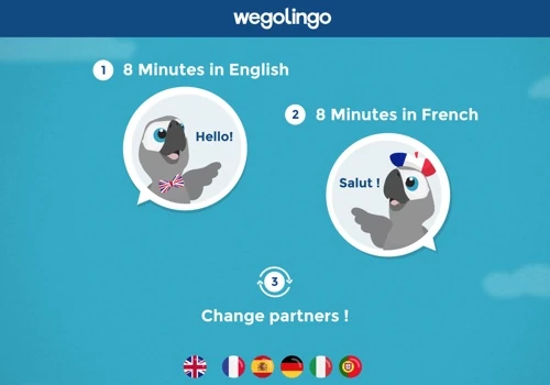 Website Design, Branding and Graphic for a Language Exchange Website