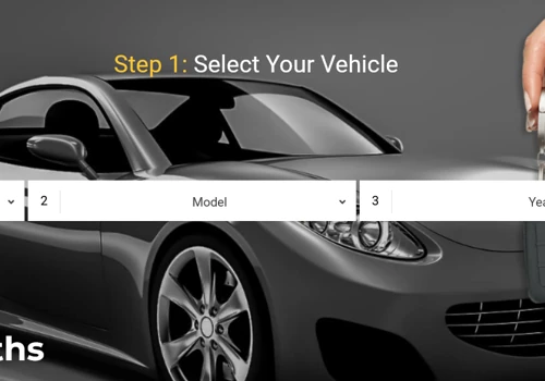Ecommerce Website delopment with custom Search