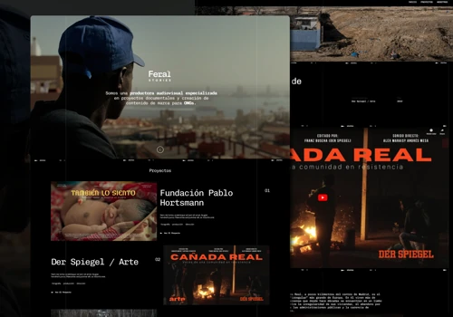 Feral Stories - Audiovisual Production Company