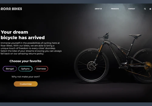 Design Concept