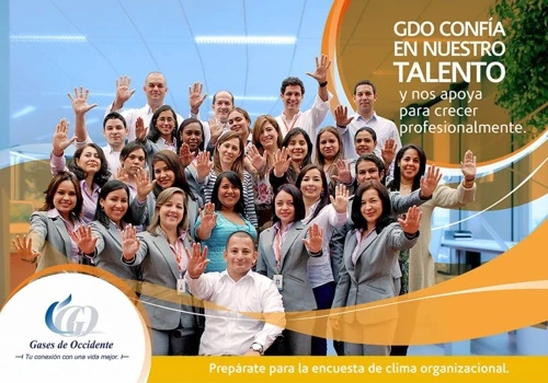Great Place to Work (GdO)