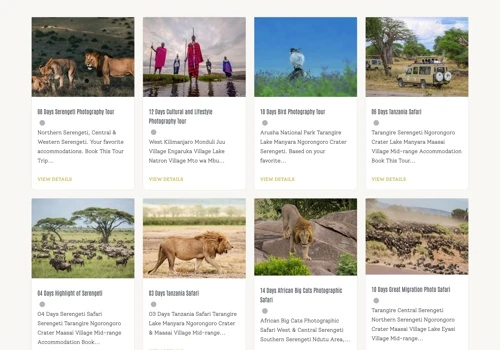 Katikati Tours and Safaris
