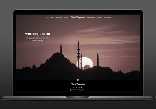 David Lepeska WordPress Website
