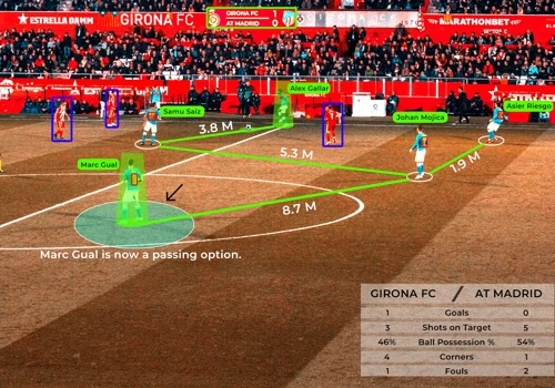 Tagging, Tracking & Annotation services for sports video analytics