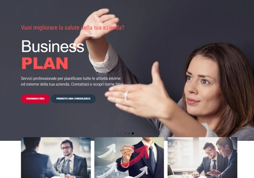 Ferica Martino - Business Plan