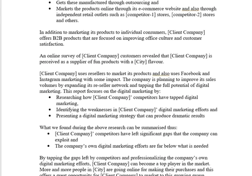 Digital Marketing Report