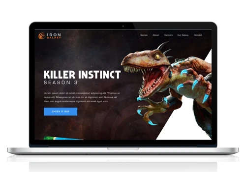 Iron Galaxy Studios Web Design & Development