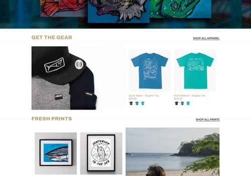 Shopify Ecommerce Website