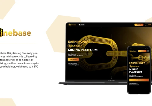 Mining Web Platform Development