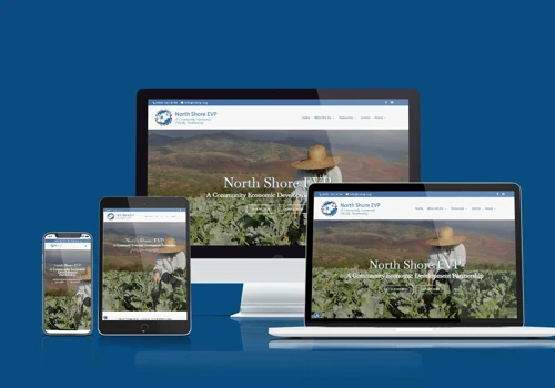 North Shore Economic Vitality Partnership Website