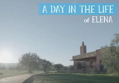 A Day in the Life of Elena in Greece