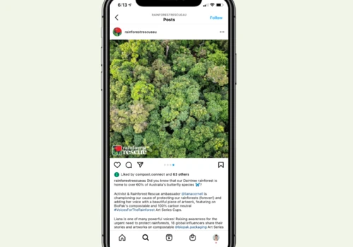 Campaign strategy for Rainforest Rescue