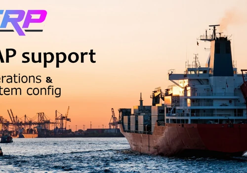 SAP support