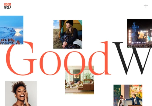 Webflow Development for GoodWolf