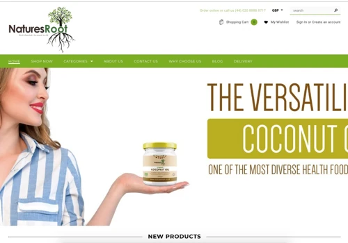 Shopify ecommerce design and development