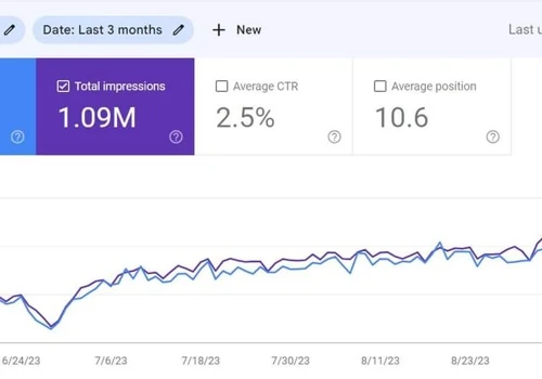Search Engine Optimization