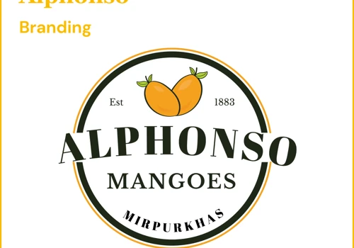 Brand identity design for Mango selling company
