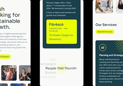 Data-driven paid media for sustainable growth